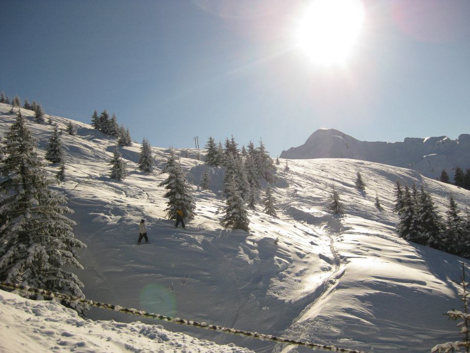 Shredding The Pow